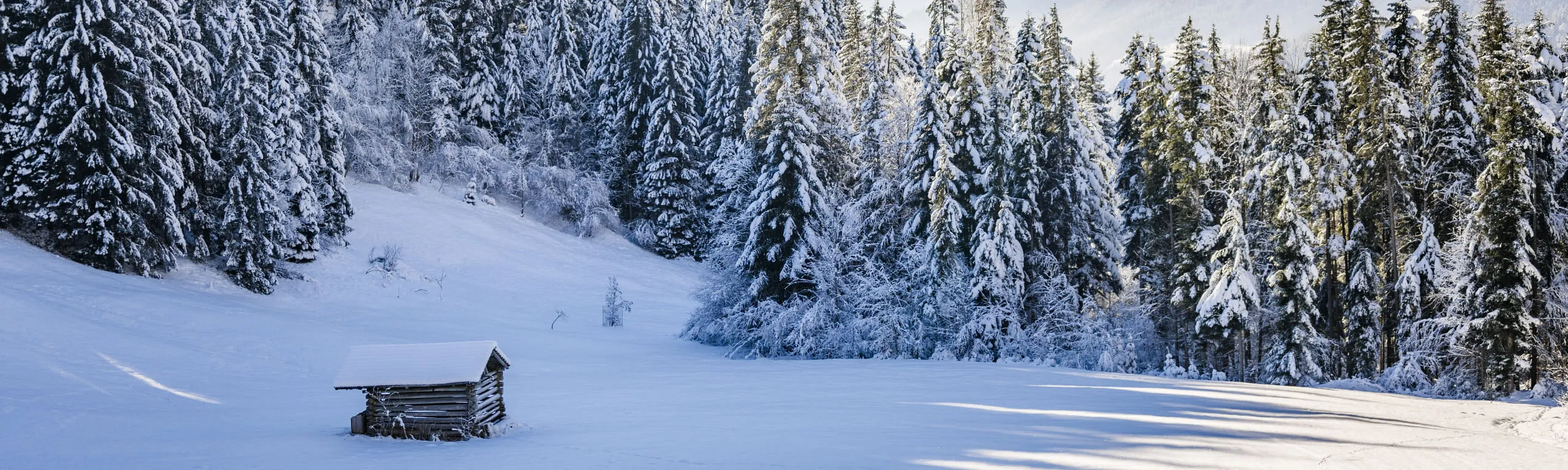 Schneebedeckte Landschaft mit Holzhütte im Winter