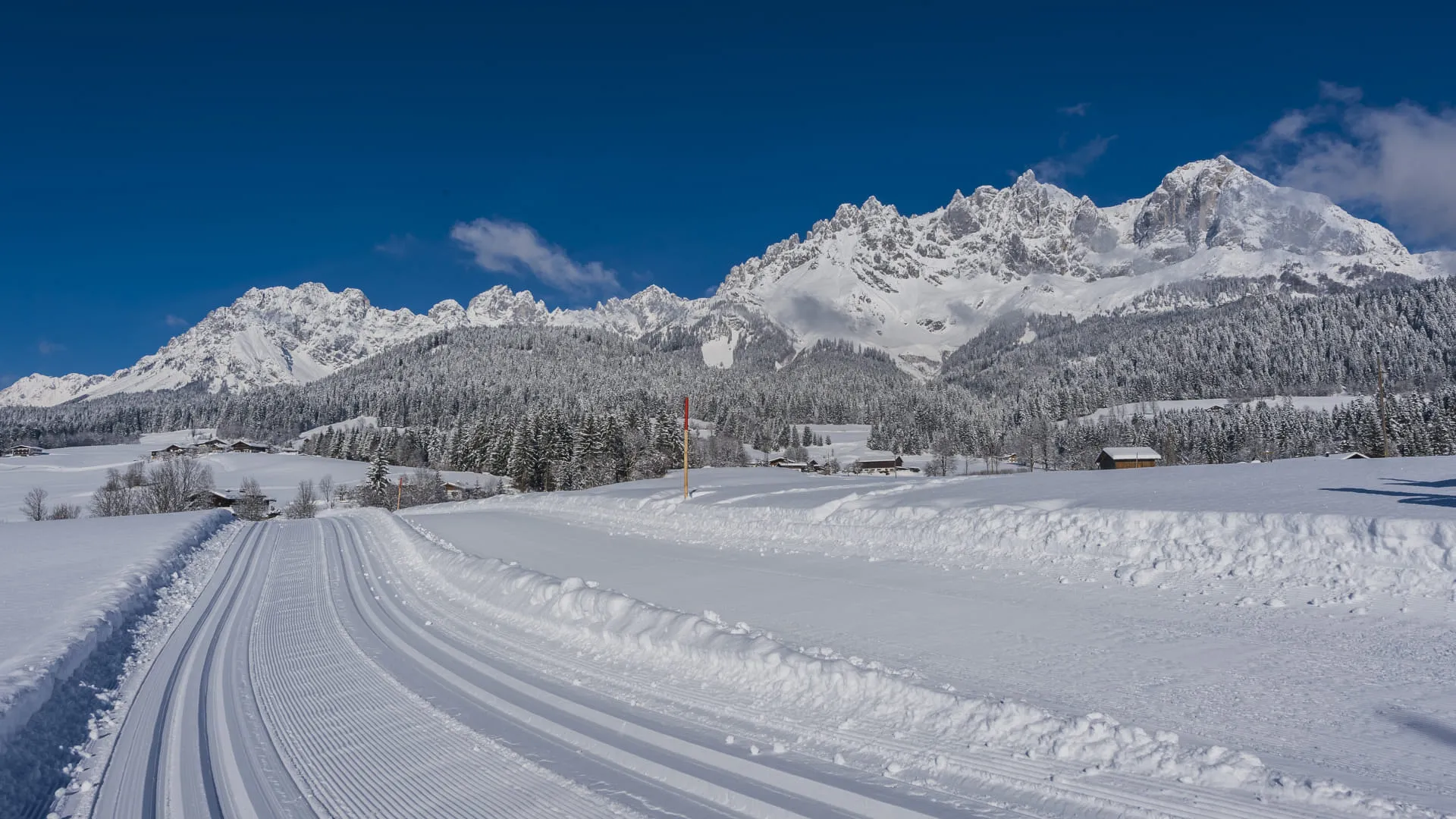 Schneebedeckte Loipe mit Berglandschaft im Hintergrund